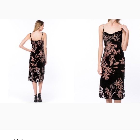 Line & Dot Dresses & Skirts - Line and Dot floral Claudette dress NWT